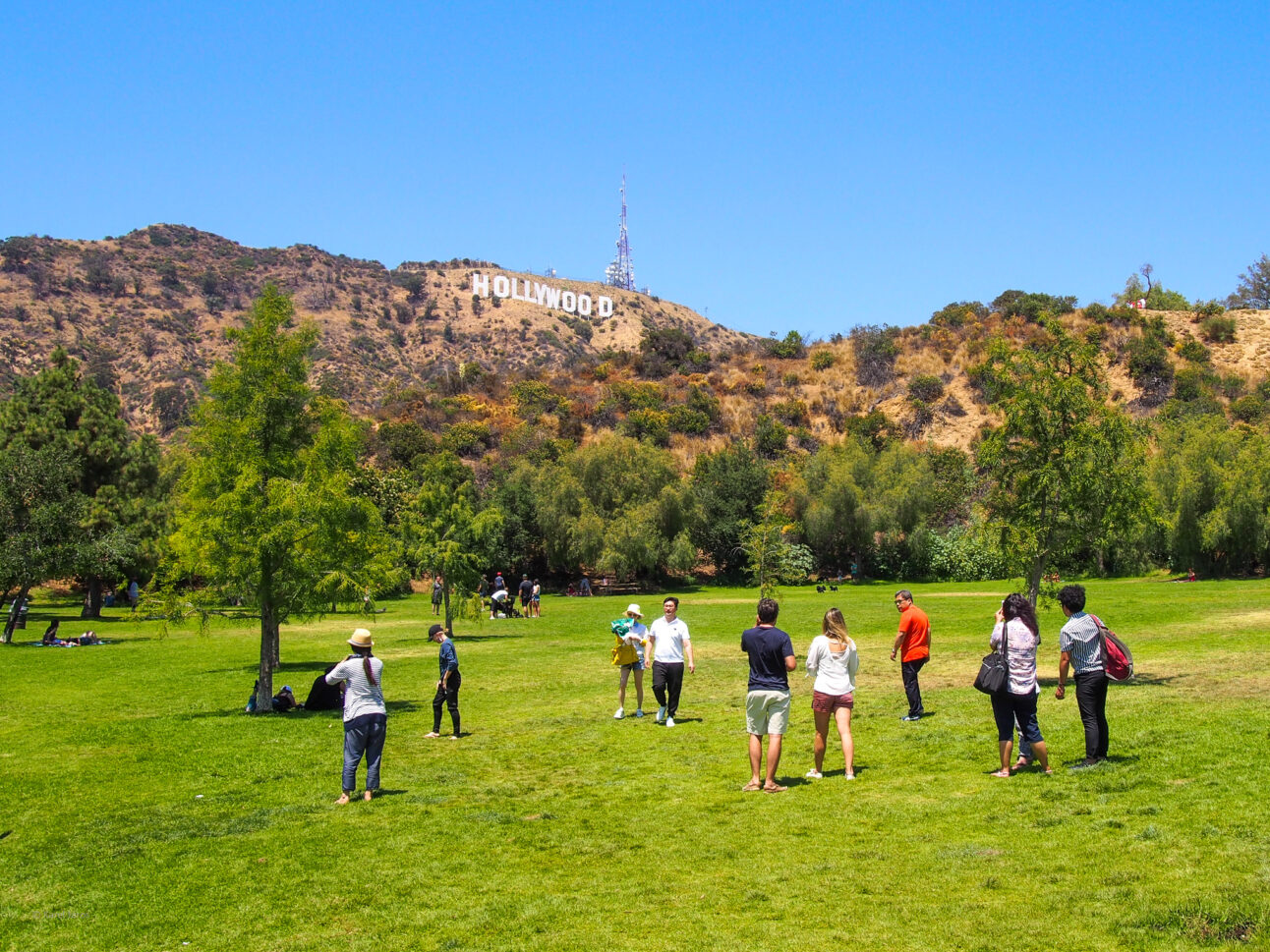 hollywood sign park address