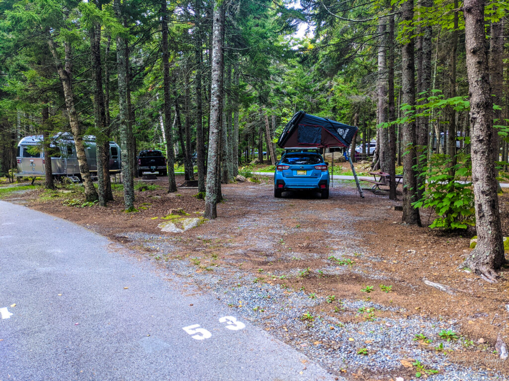 Blackwoods Campground Camp Site